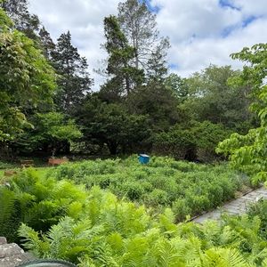 Meet your Posher, Jp